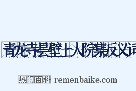 青龙寺昙壁上人院集反义词是什么意思的图片